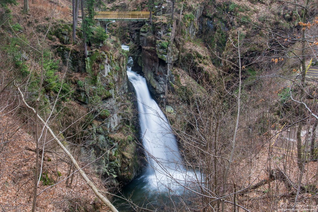 DSC_75971