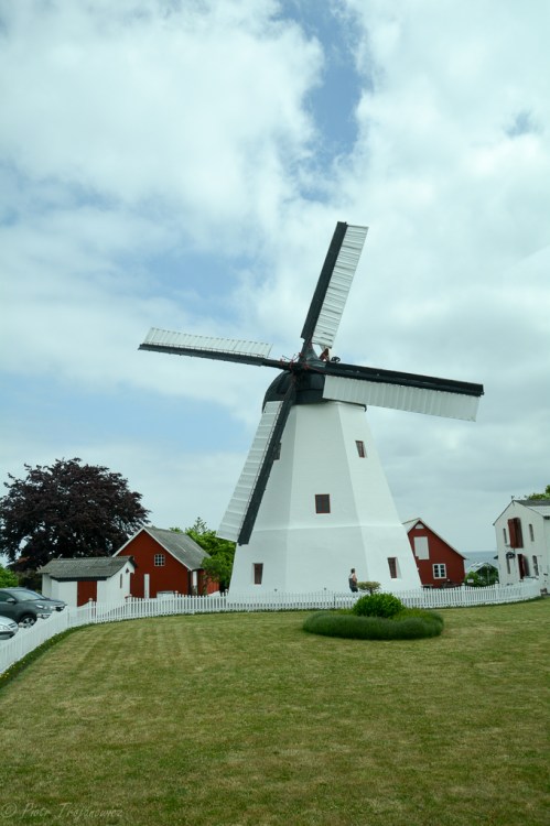 DSC_8373