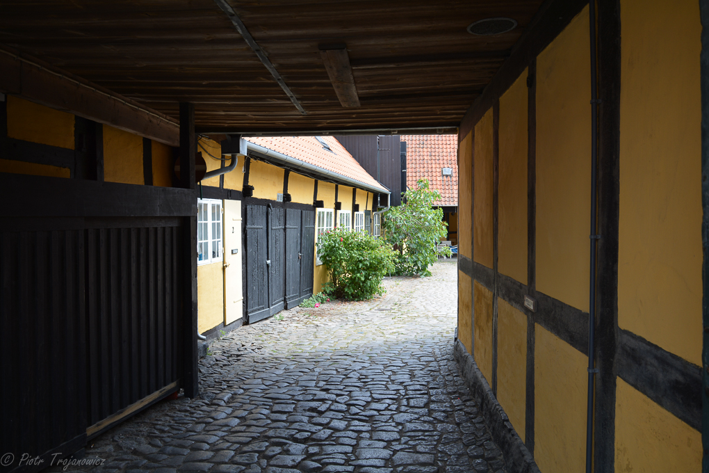 DSC_8381