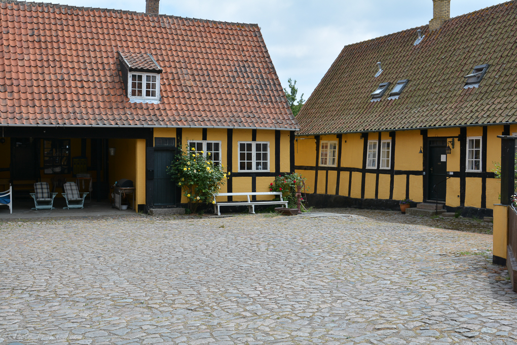 DSC_8383