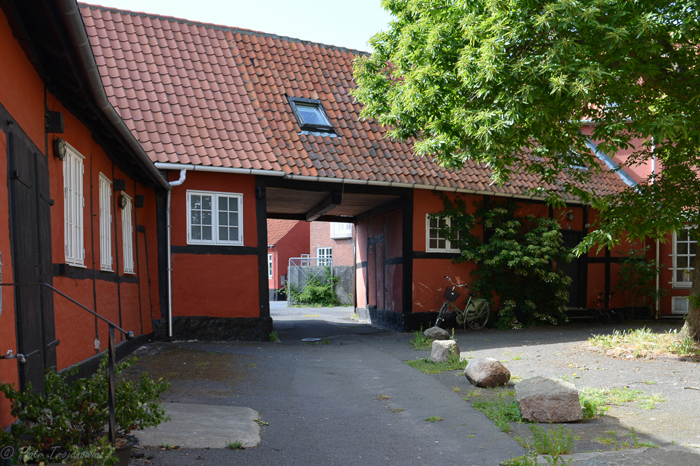 DSC_8463