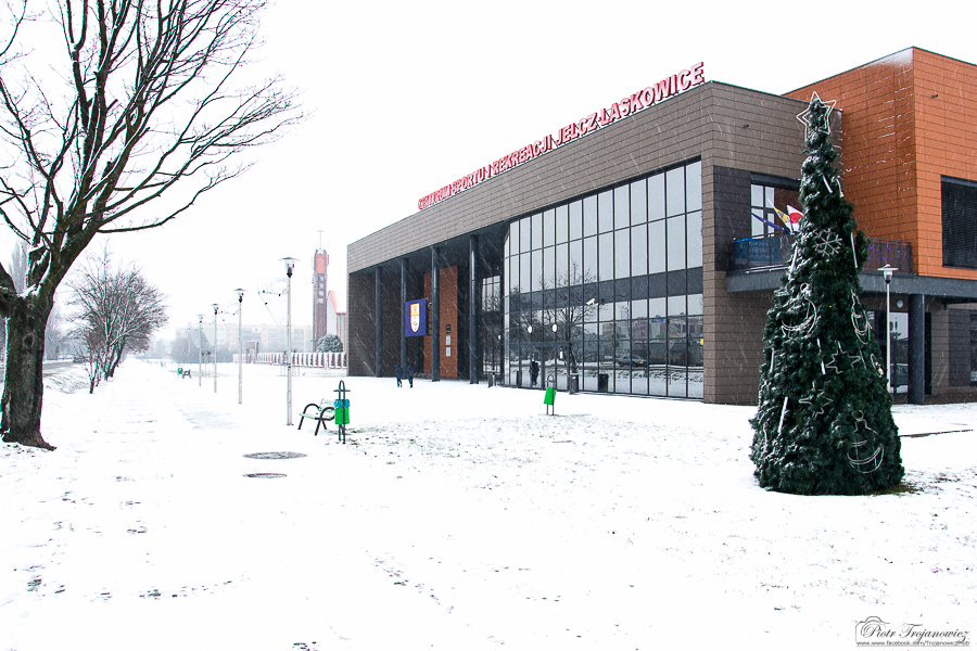 DSC_9990